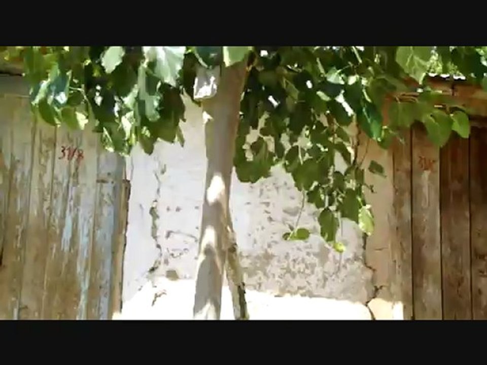 Tatlıpamın en güzel yerlerinin bir araya getirilmesiyle oluşturulan enfes bir video