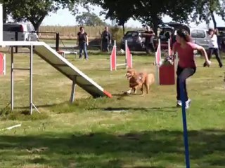 Bullit Running passerelle 2012-09-29