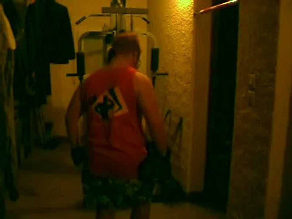 All-Musculation elevation latérale