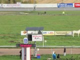 FINLAND Greyhound Racing (Turku track 29.09.2012)