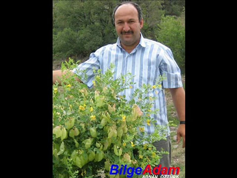 ADİYAT 100  KURAN Sureindir BilgeAdam SADİ  Akcakese Güdül ADNAN ÖZTÜRK Kusay akcakesetv