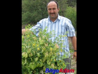 BURUC 085 KURAN Sureindir BilgeAdam SADİ ÖZTÜRK Akcakese Güdül ADNAN ÖZTÜRK Kusay akcakesetv