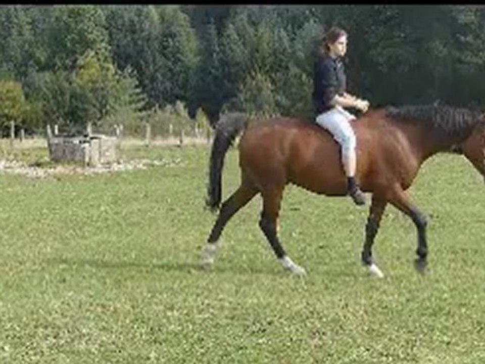 Mon film3