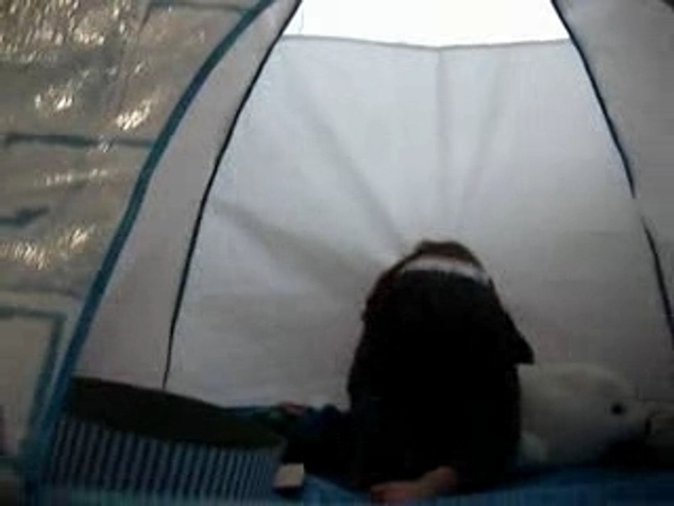 the Igloo