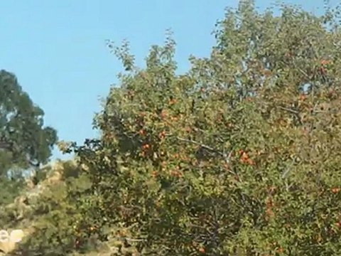 sayakadan@kızıllar agini köyü görüntüleri