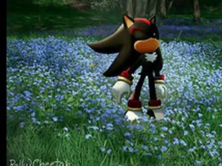 Shadow the Hedgehog