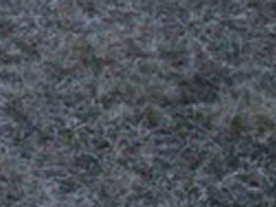 Teaser Les ZAZOUS... Saison 4