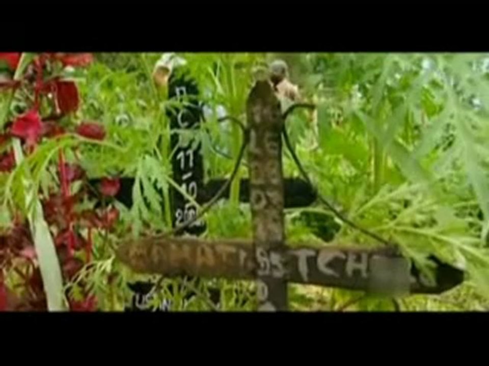 Yalın Alpay TVNET Afrika