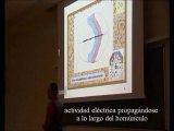 Neurologia de la Musica y el Lenguaje 08 Homunculos y otras cosas - Prof Manuel Lafarga