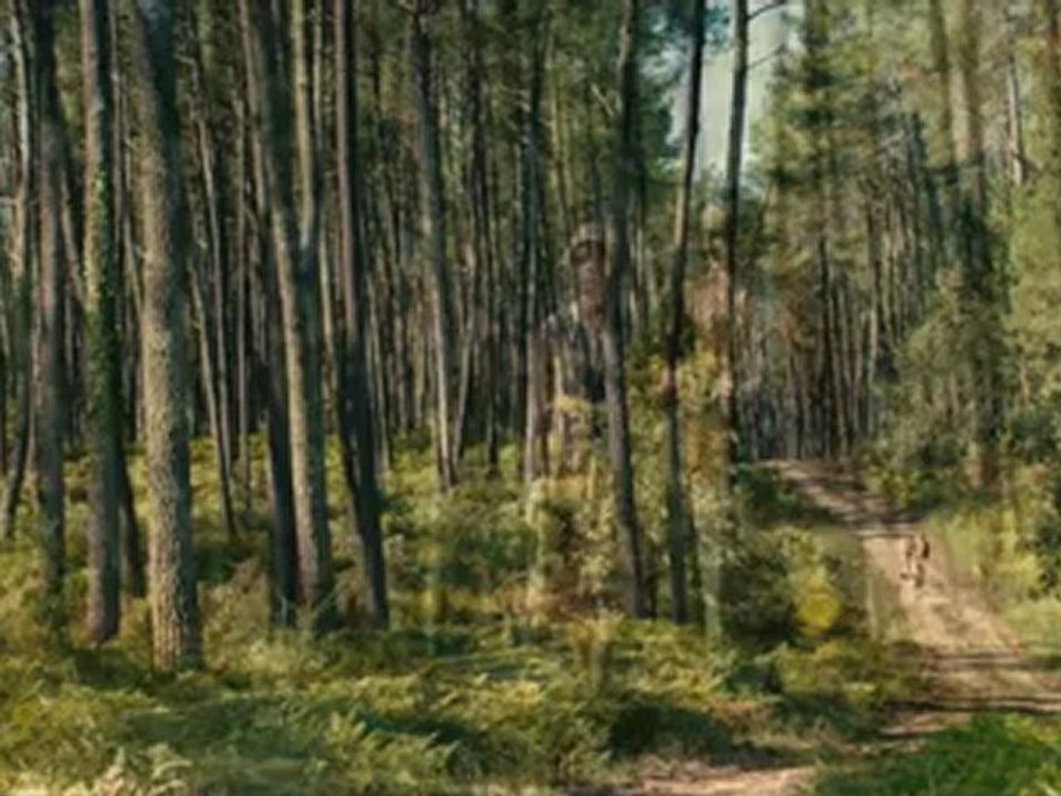 La bande annonce du dernier film de Claude Miller, Thérèse Desqueyroux