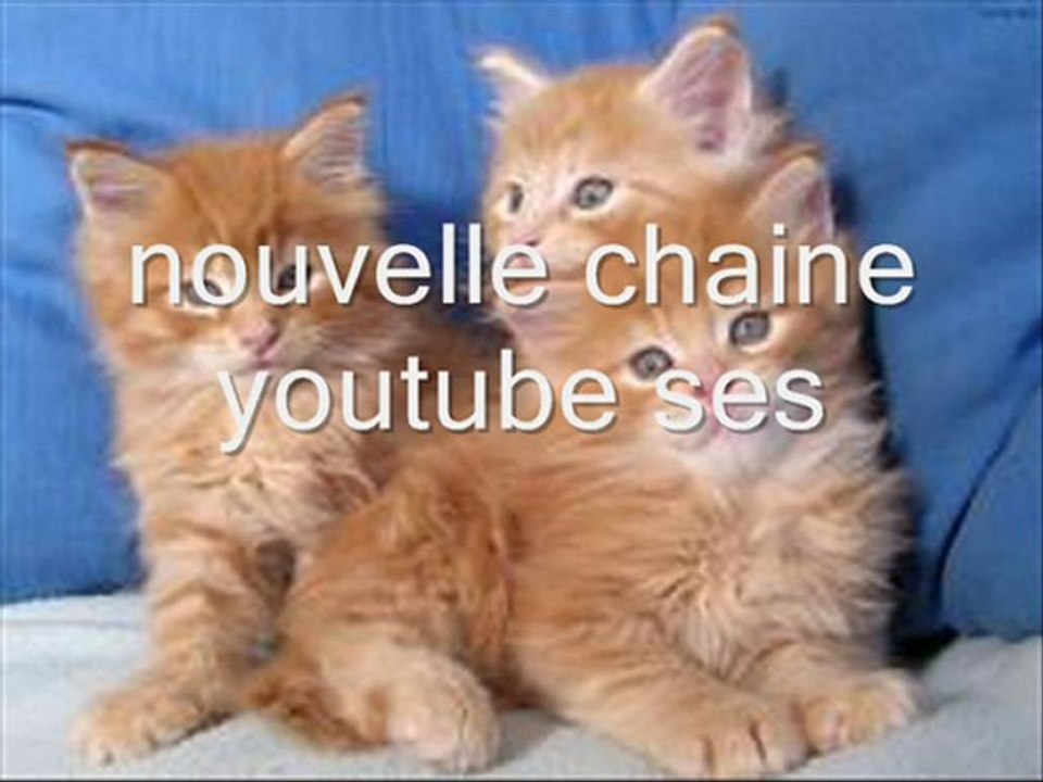 PROMO DE MA CHAINE
