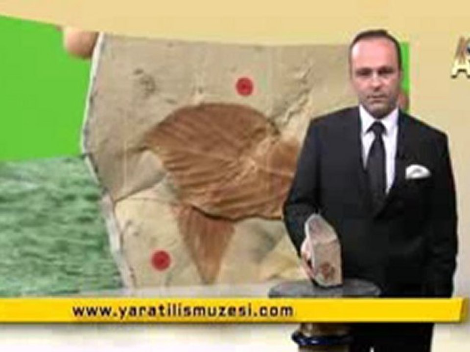 MİLYONLARCA YILDIR DEĞİŞMEYEN KARAAĞAÇLAR