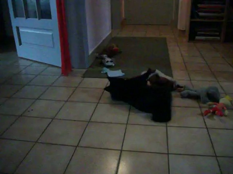 HERMINE DU fait sa folle