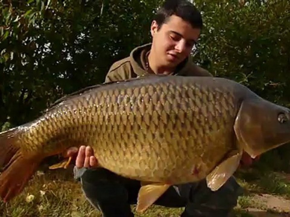 Session à l'Archeveque avec produits Marukyu (HD)