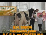 Concours Régional Prim'Holstein Pyrénéennes 2012