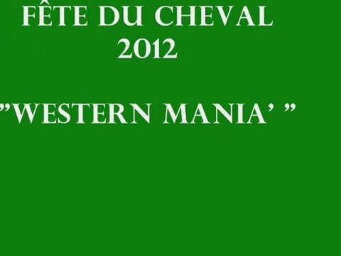 Western Mania' : Fête du cheval 2012