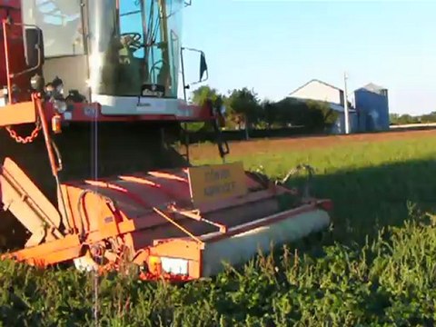 RAMASSAGE ET RECOLTE DE HARICOTS VERT CHEZ DIDIER LEPRETRE A SENNECAY 18340