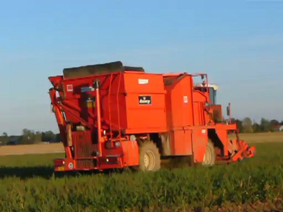 RECOLTE DE HARICOTS VERT A SENNECAY CHEZ DIDIER L......E