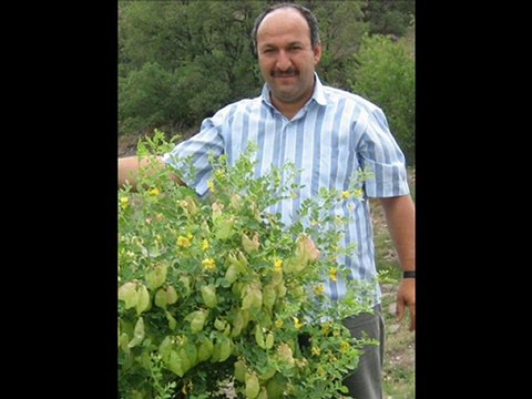 FİL 105 KURAN Sureindir BilgeAdam SADİ ÖZTÜRK Akcakese Güdül ADNAN ÖZTÜRK Kusay akcakesetv