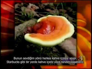 Gano Excel Ulusal Haberler(2)