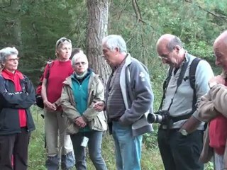 La FORET DE CHAUX