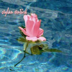 CANIMIN BİR PARÇASI - CAN AKIN