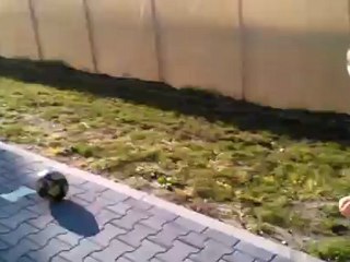 Sport zmienia się z Orange