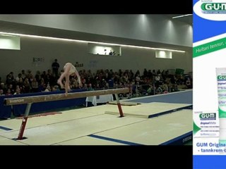 Steinunn Anna Svansdóttir - Slá