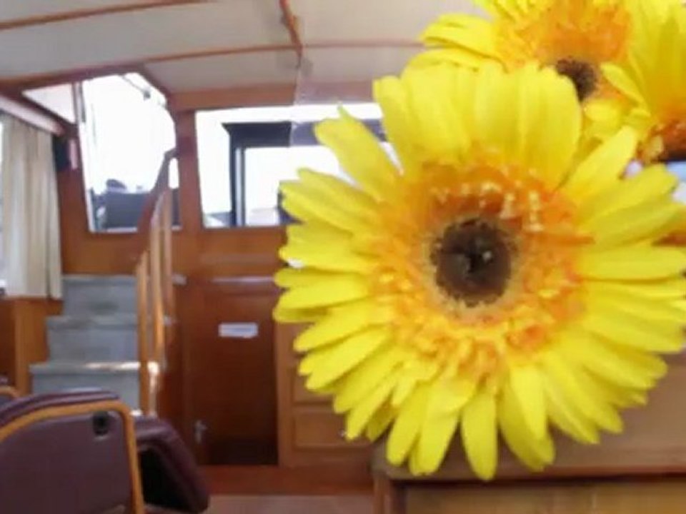 San Diego Boat Tours - Nature Charter