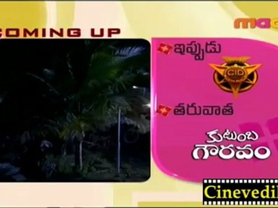 CID - Telugu Sep 24 -4