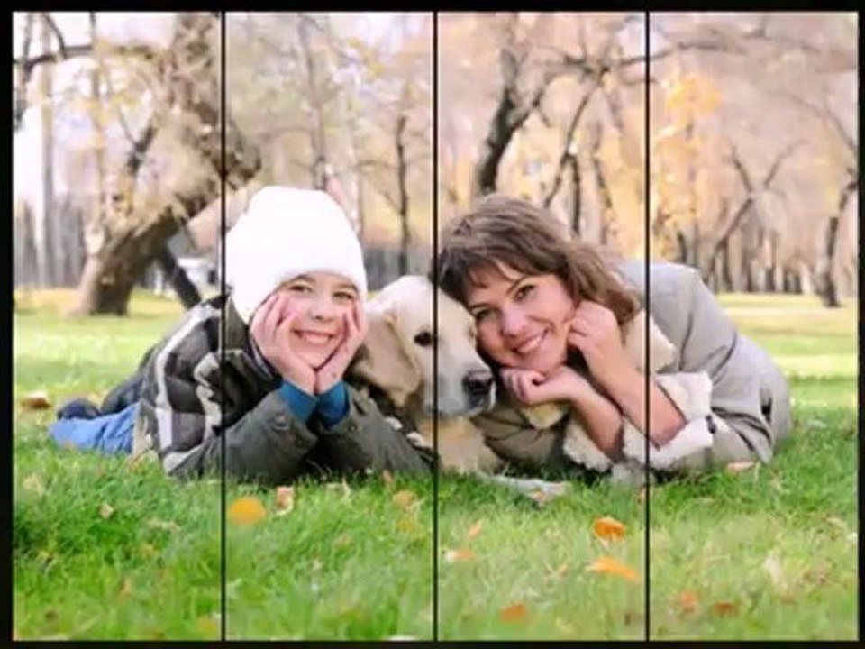 Pet Trust Services in Fayetteville AR - Deborah Sexton Law Office, PA