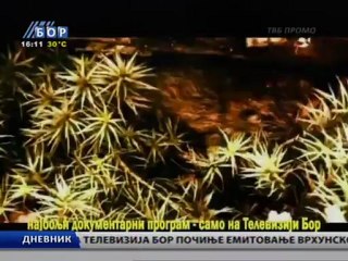 Dnevnik, 30. septembar 2012.