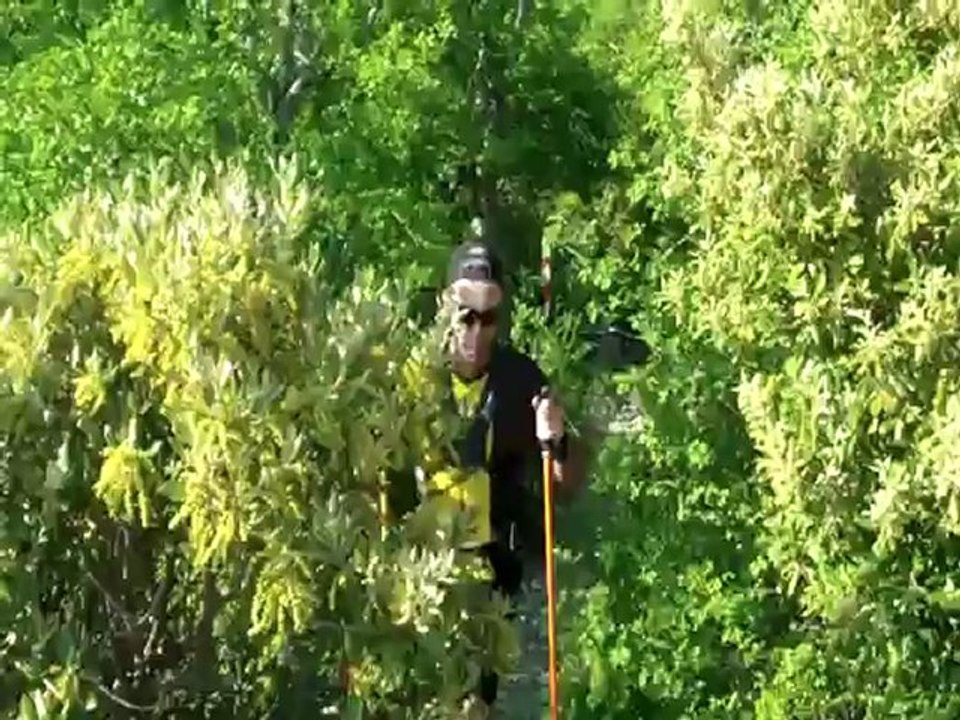 TGL2012