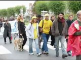 Manifestation des opposants à la ligne à très haute tension à Avranches