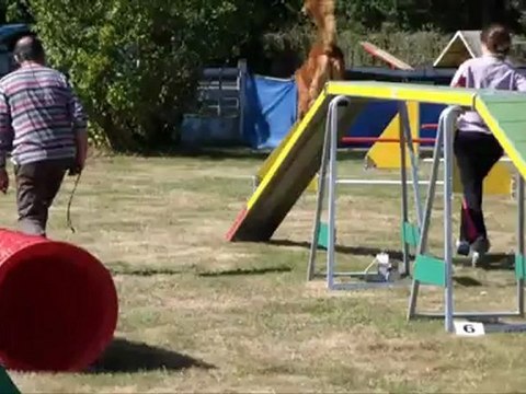 Bullit Concours Saint Nazaire 2012