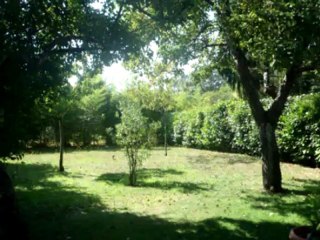 vente maison contemporaine Lège-cap-ferret ref 411