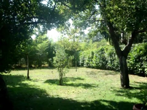 vente maison contemporaine Lège-cap-ferret ref 411