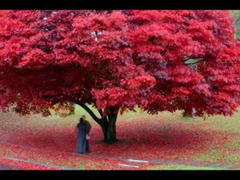 siir kendine iyi bak derler ve giderler