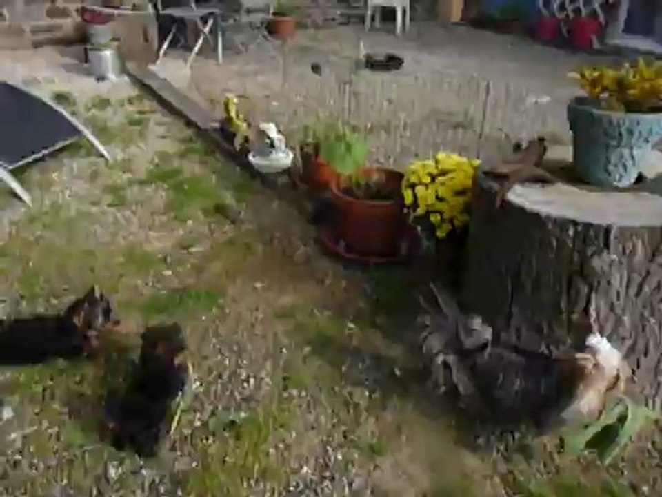 ON S'AMUSE COMME DES FOUS A JAILE'S HIGHLANDS