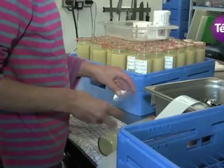 27 septembre 2012 - Innovation : conserve de poissons