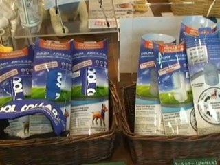 EFESTILO  Mascotas japonesas, entre el lujo y la excentricidad