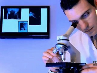 Milk Your Cat! Milk Your Dog! The Pet Milker 4000.