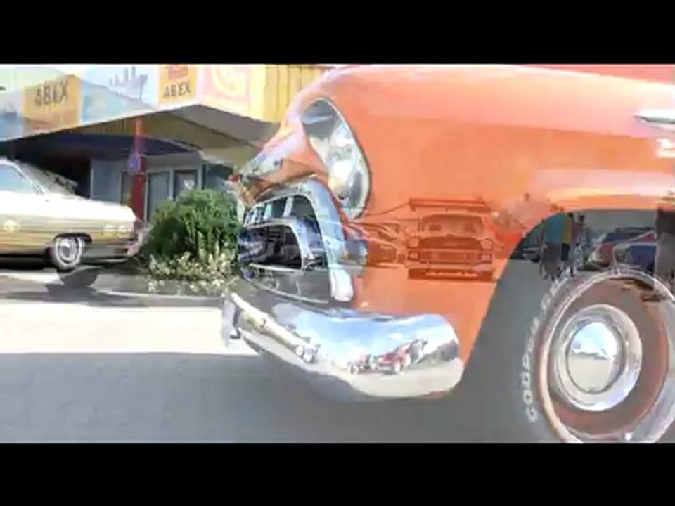 Haubentauchen Juli August September 2012