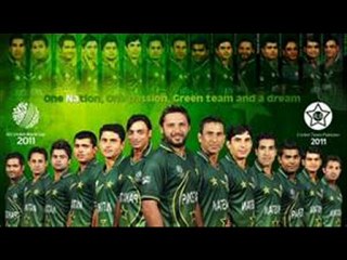 pakistani tigers lilykh4n 15