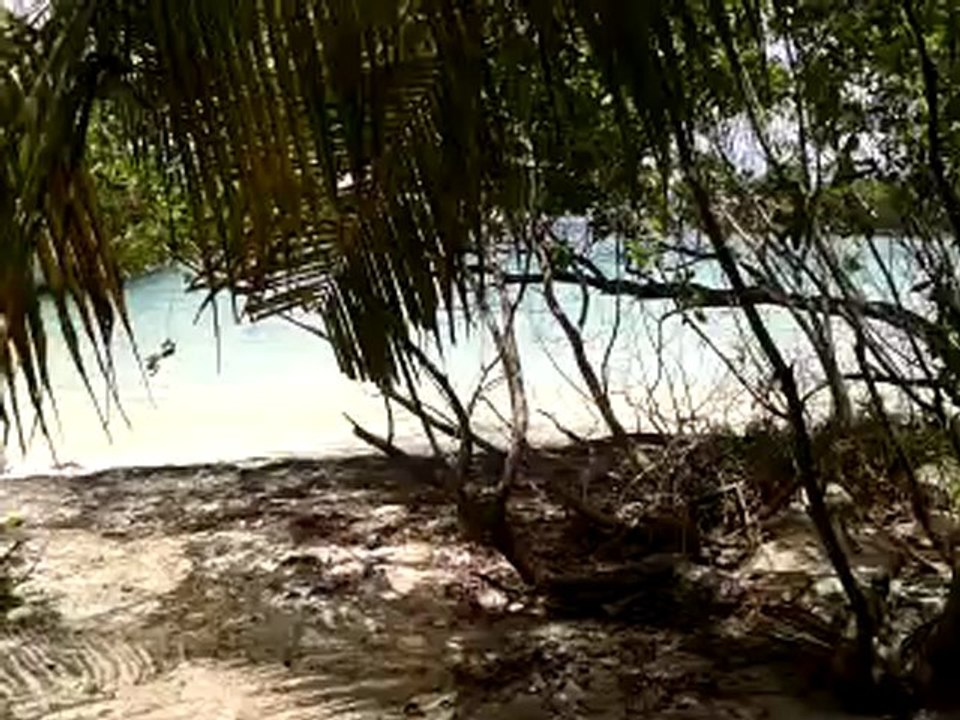 ILET CHEVALIER (MARTINIQUE)