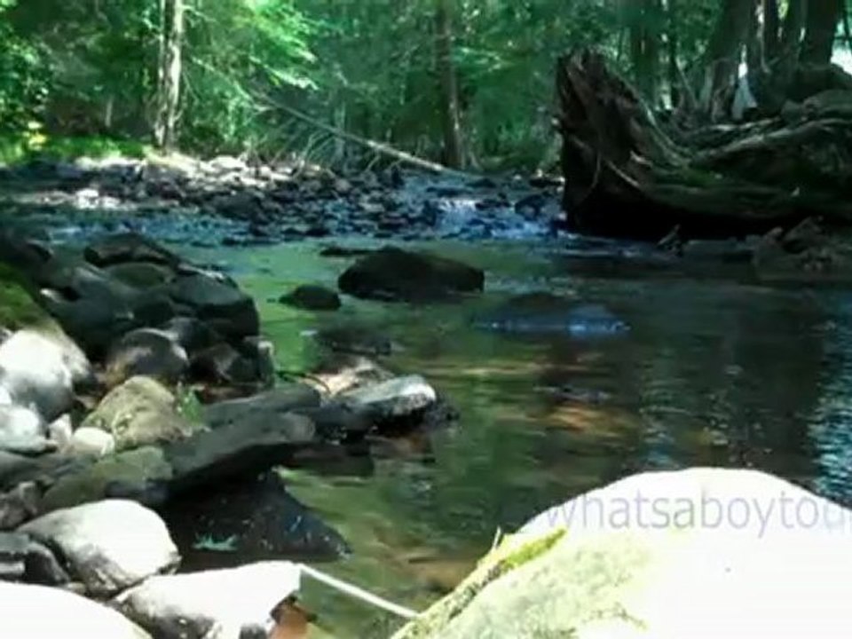 30 Seconds of Peace: Looking Upstream