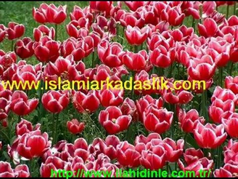 Uyan Ey Gözlerim Gafletten Uyan