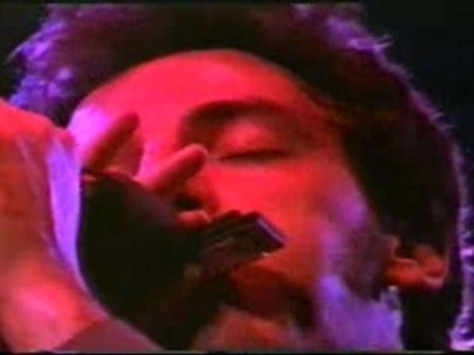 Bruce Springsteen - The River (Live)