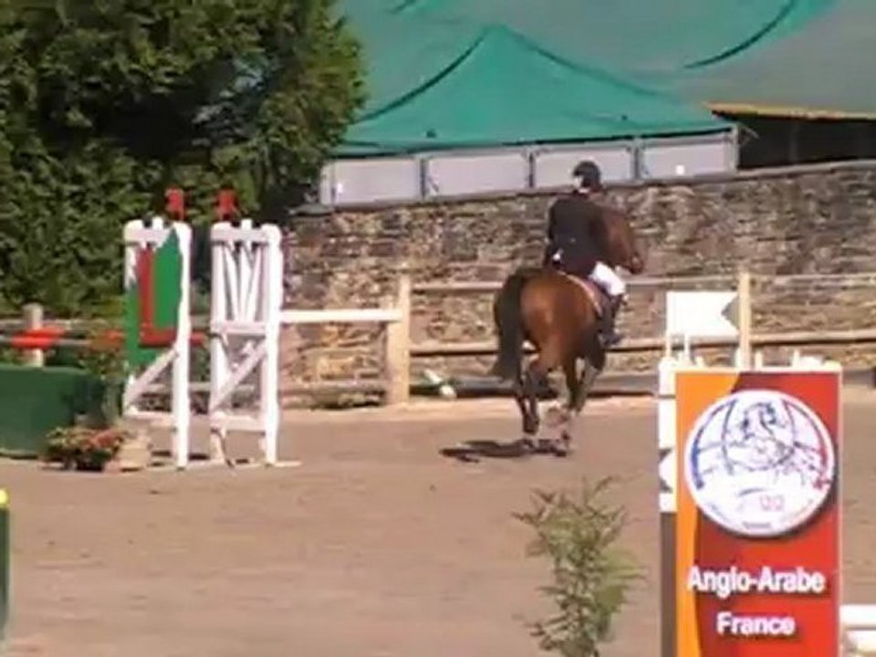 TheStatinaHippiquePompadour2012