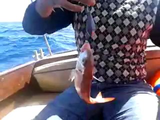 29 EYLÜL 2012 VİD (3)